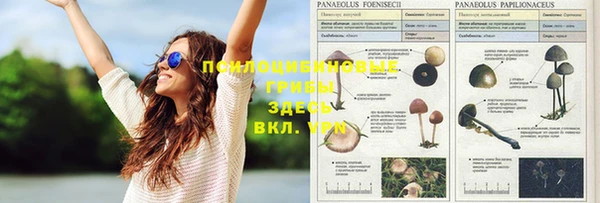 альфа пвп VHQ Армянск