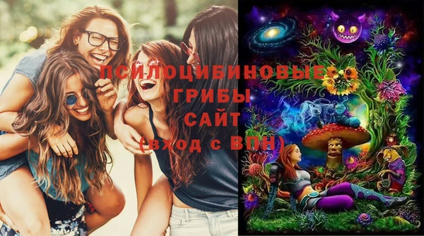 спиды Арсеньев