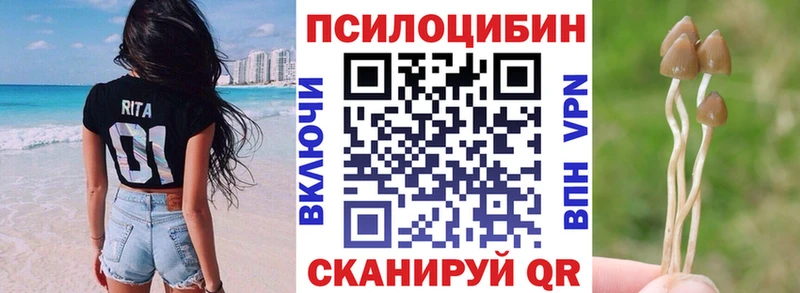 Галлюциногенные грибы Cubensis это формула Тарко-Сале